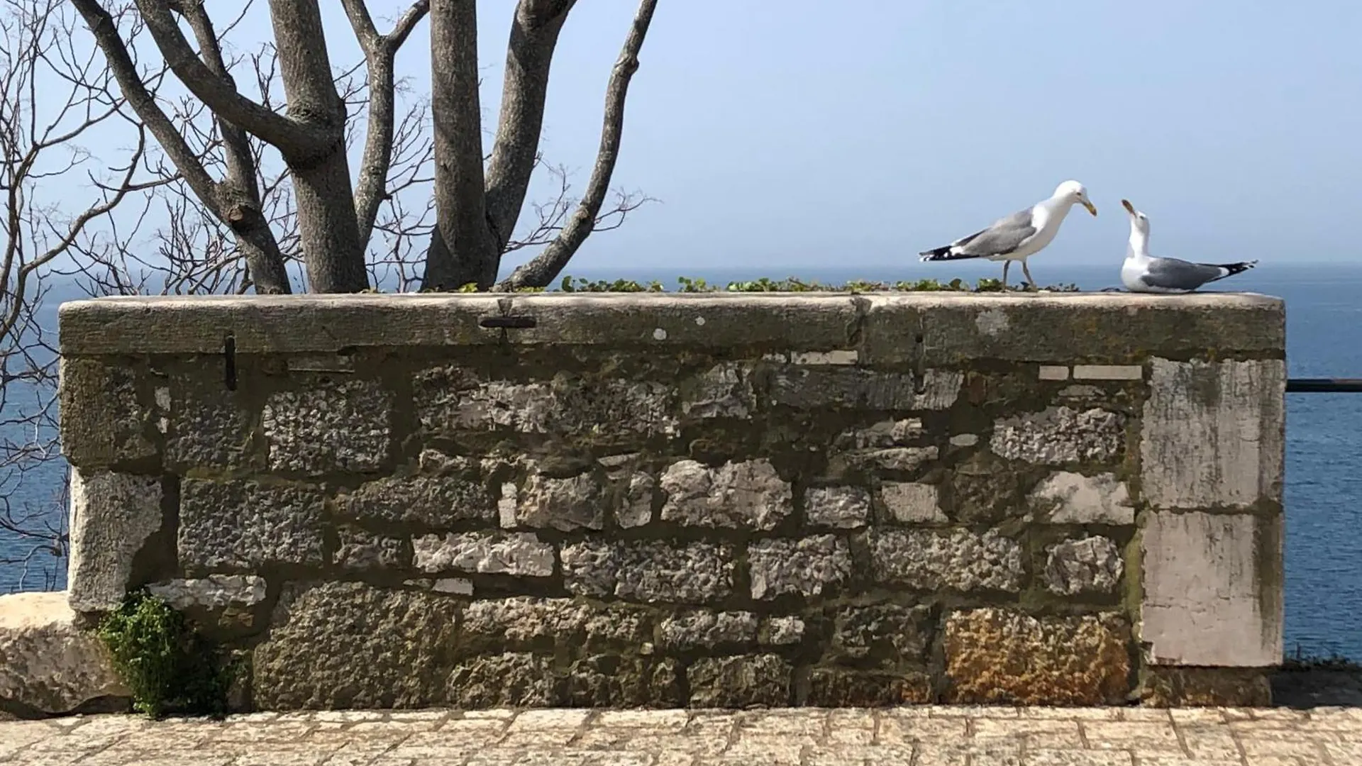 Apartman Bella Rovinj